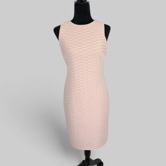 NWT Chaps Light Pink Sz 10 Textured Sheath Dress - Picture 1 of 11